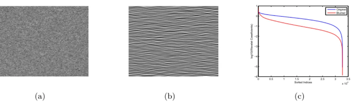 Figure 3.1: Sparsity comparison of x and Hx in wavelet domain. (a) A random scatterer map (TRF, denoted by x) generated according to a zero-mean Generalized Gaussian  dis-tribution and (b) its corresponding blurred version (RF data, denoted by Hx), obtained by convolving the TRF with an US PSF.(c) the magnitude decay rates of the sorted wavelet coefficients, calculated for x and Hx.