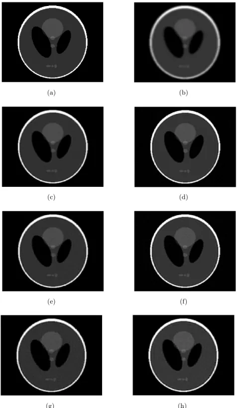 Figure 3.2: Shepp-logan image and its compressive deconvolution results for a SNR of 40dB