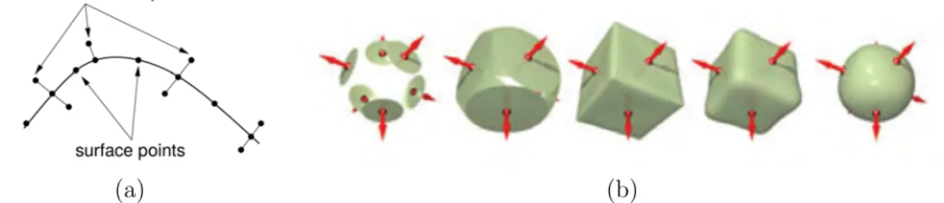 Figure 1.9: Radial Basis Functions solve constraints defined on a set of surface points and either off-surface points (a) or their surface normal (b)