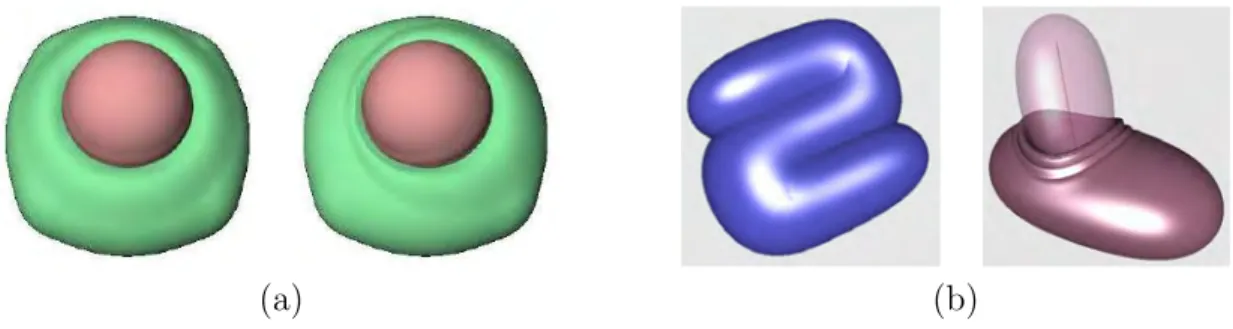 Figure 2.26: Taking into account objects velocity (a) to provide anisotropic bulge in contact for convolution surfaces