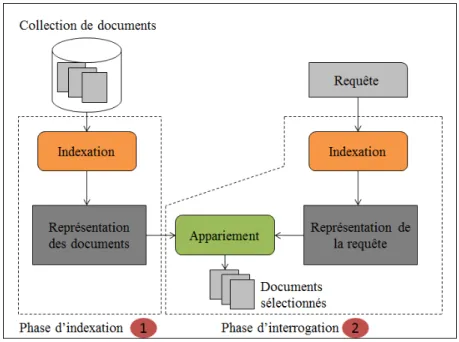 Figure 1.1 – Processus en U de la RI.