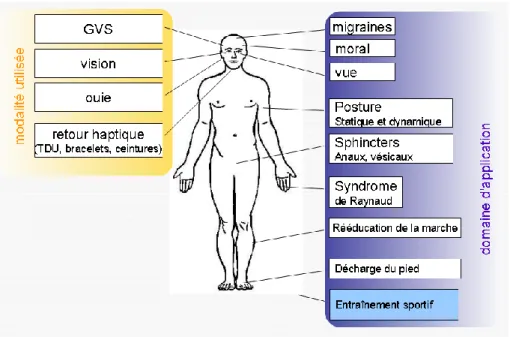 Figure  5 :  Domaines  d'application  du  biofeedback  et  modalités  utilisées.  GVS :  Galvanic  vestibular  stimulation