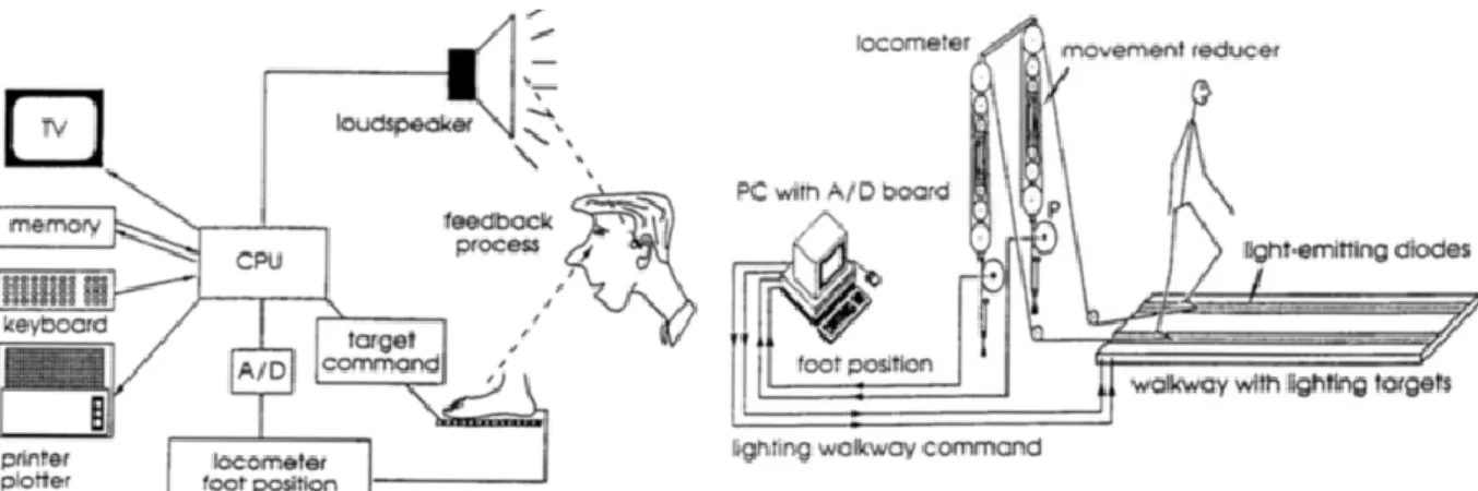 Figure  8  :  Organisation  fonctionnelle  du  dispositif  de  biofeedback de mesure de longueur de pas