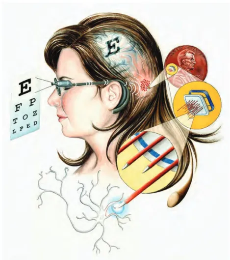 Figure 10 : Implant du projet Intracortical Visual Prosthesis.   Les modules utilisés sont visibles à droite sur fond jaune