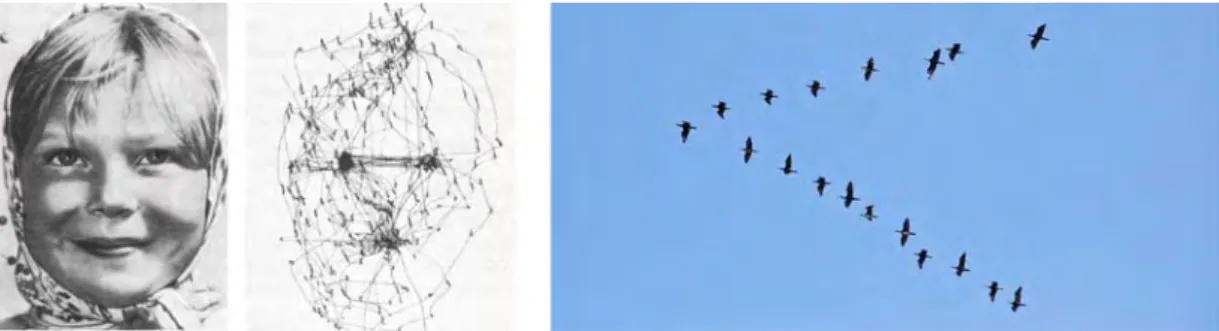 Figure 3 : Discontinuité et continuité du mécanisme de perception visuel. À gauche, 