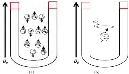 Figure 1.2 – 1.2(a) , Sous l’influence du champ magn´ etique B 0 , les spins s’orientent dans la direction