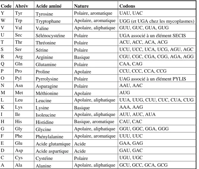 Tableau 1.1. Les codes des 22 acides aminés 