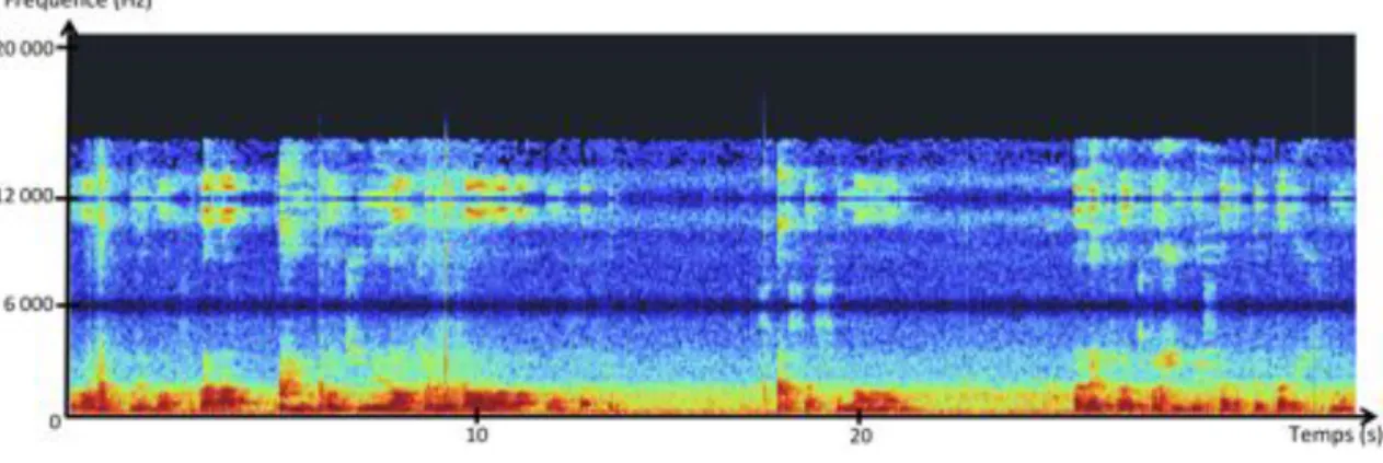 Figure 1.11 – Repliement spectral sur un spectrogramme d’ un extrait audio de 30 secondes.