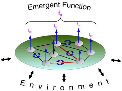 Figure 1.1: Adaptation and emergence of the function of the system.