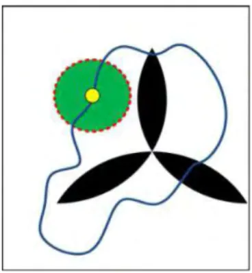 Fig.  3.4 - Approche locale du contour actif basée région 