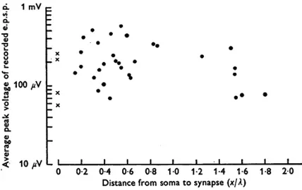 Figure 1.3 — The average peak amplitude of EPSPs, as recorded at soma, is plotted