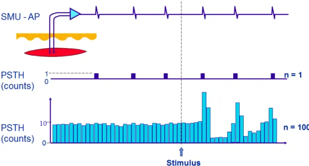 Figure 1.7 — The peristimulus time histogram (PSTH) is compiled by recording the mo-