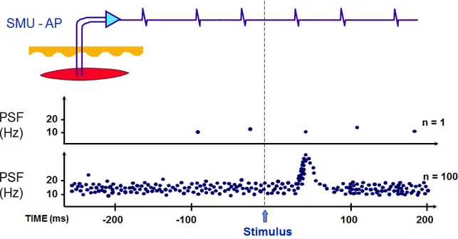 Figure 1.10 — The peristimulus time frequencygram (PSF) is compiled by recording the
