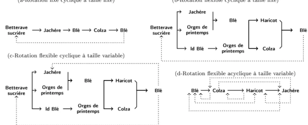 Figure 1.3 – Exemple de classes de rotations extrait de Castellazzi et al. ( 2008 )