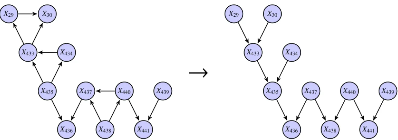 Figure 3.11 – Correction des v-structures couvertes appliquée à un sous ensemble du réseau Pigs appris (à gauche).