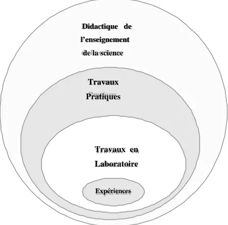 Figure 2-1. Interrelation entre expériences, travaux en laboratoires et travaux pratiques  (Hodson 1988 ; cité dans Marthie, 1995)