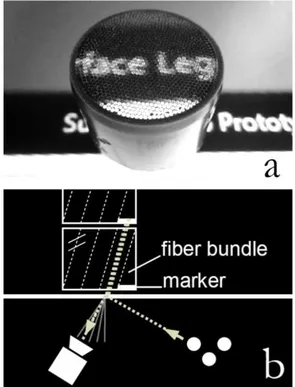 Figure 24 : Illustrations du système Lumino.  (a) un objet rempli de faisceaux en fibre de 
