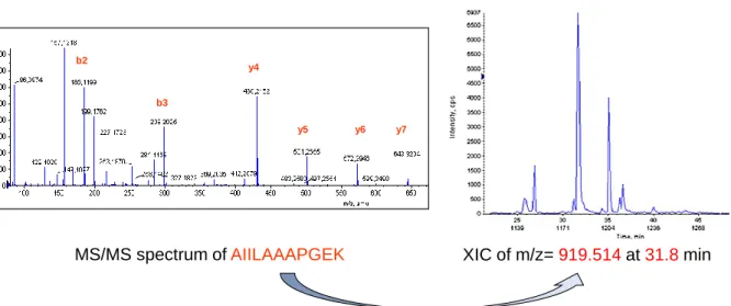 Figure 18 : extraction du signal MS d’un peptide  qui  a été  identifié  au préalable par un moteur de 