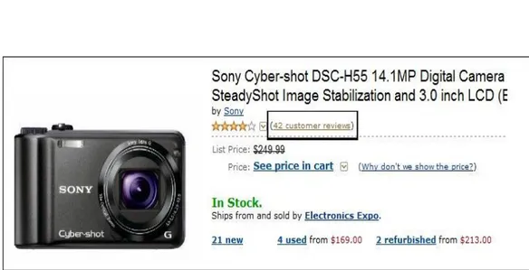 Figure 3.1: Image showing link to Customer Reviews for a Digital Camera on