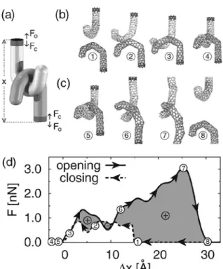 Figure 1.19  :  schéma présentant assemblage des nano crosses, déterminant la distance, la direction de la force 