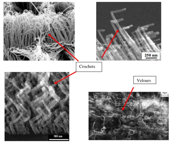 Figure 1.21 : les formes spéciales des nano tubes de carbonne favorisant l’accrochage nano velcro  [BER 03, LAU 06, 