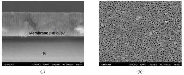 Figure 2.13 : image MEB de la fabrication de la membrane sur le support Silicium par anodisation : (a) vue en 