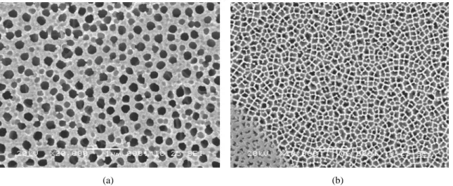 Figure 2.14 : micrographe d’une membrane AAO ayant 200 nm de diamètre de pore : (a) face avant, (b) face 