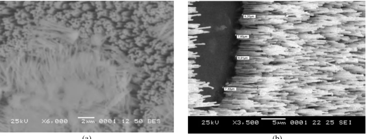 Figure 2.28 : comparaison de la morphologie des nano structures obtenues dans différents bains 