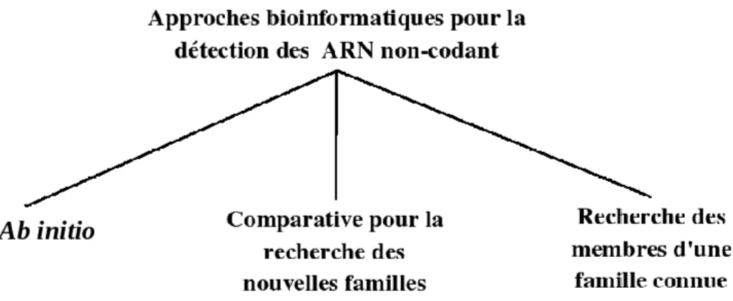 Fig. 2.1  Trois grandes appro
hes pour la déte
tion bioinformatique des ARNn
.
