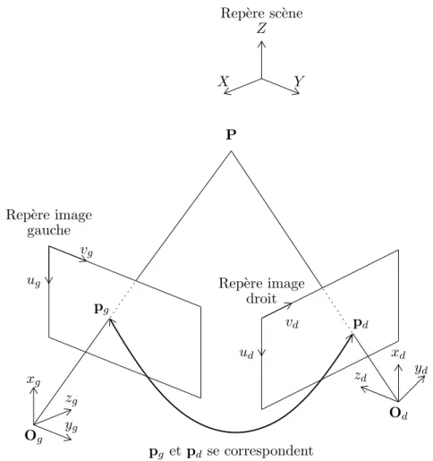 Fig. 3 – Mod`ele g´eom´etrique du capteur st´er´eoscopique binoculaire.