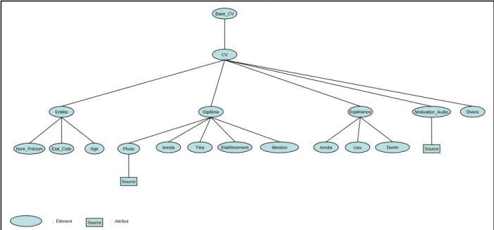 Figure II. 11. Présentation arborescente de la DTD du document &#34;Base_CV .xml&#34; 