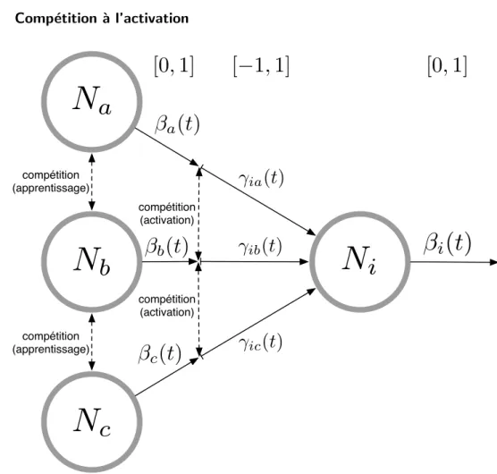 Fig. 3.15 – Le processus de compétition à l’activation permet de convertir les valeurs