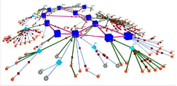Figure 1.24 : Affichage de structure de topologie d’un réseau avec Cichlid 