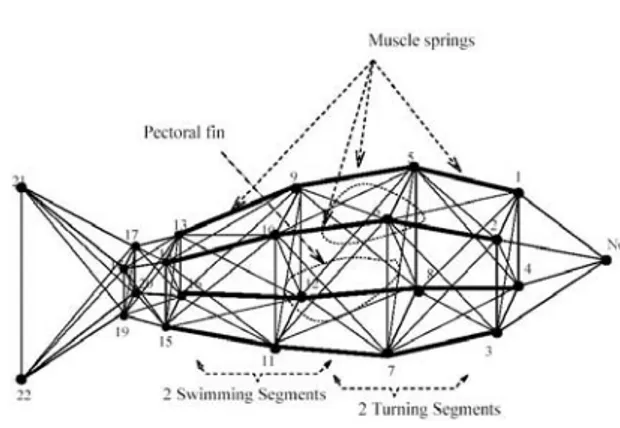 Fig. 1.12 – Quelques agents connexionnistes ´ evolutionnistes : le contrˆ oleur est un r´ eseau de neurones que l’on fait ´ evoluer g´ en´ etiquement.