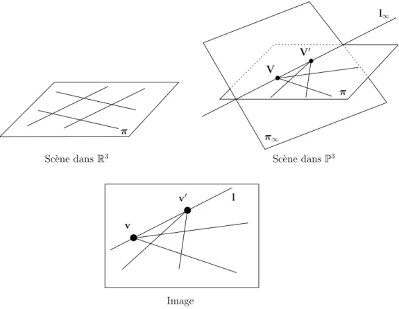 Fig. 2.6 – Formation des points de fuite et des lignes de fuite.