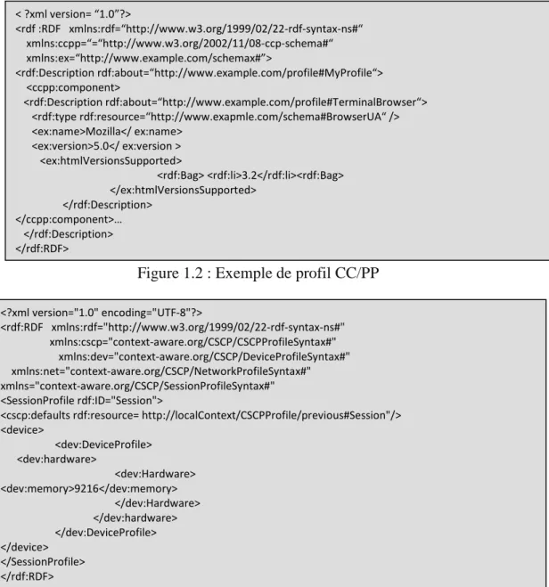 Figure 1.3 : Exemple de profil CSCP 