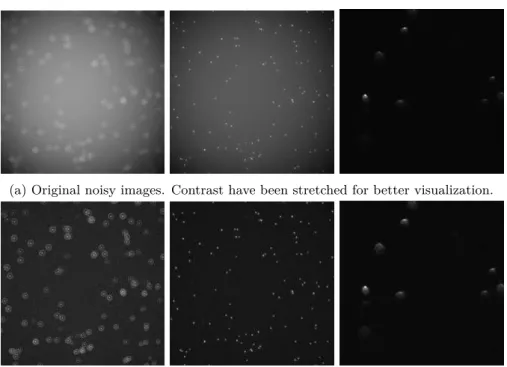 Figure 3.1: Background extraction procedure using an ` 1 fitting algorithm. We illustrate
