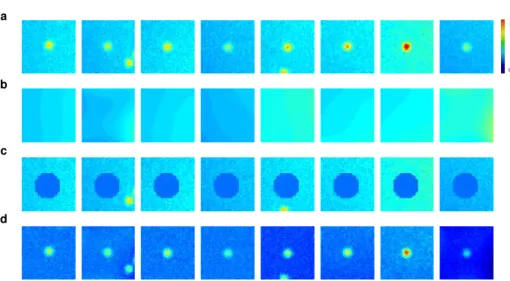 Figure 3.3: Local estimation of the background. a, Original PSFs degraded