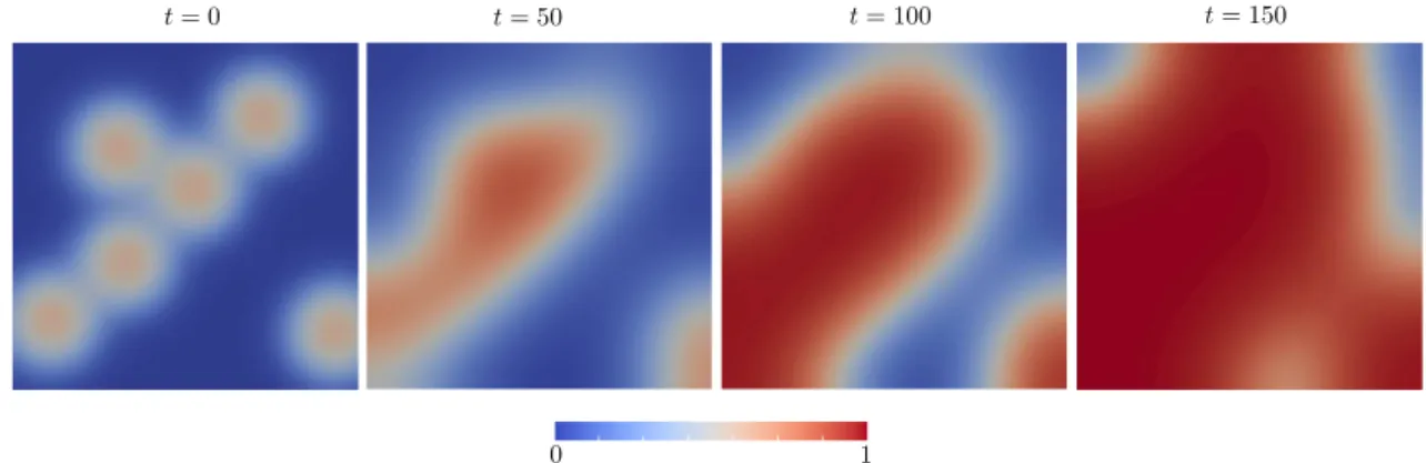 Figure 6.2 – p(t, ·) for K = 6 releases, t = 0, 50, 100, 150 days and C = 0.017.