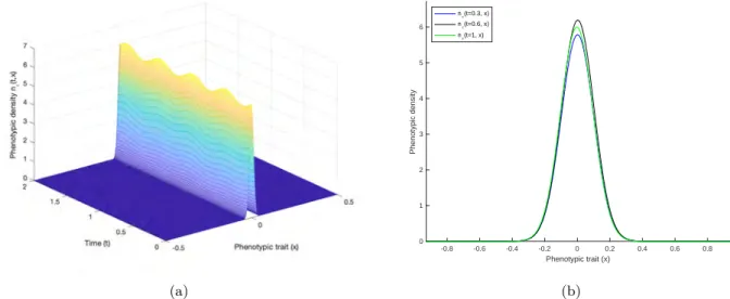 Figure 3.1 – The phenotypic density n ε (t, x) of the population: (a) as a function of time and trait over two