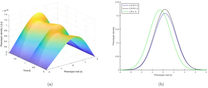 Figure 3.6 – The phenotypic density n ε (t, x) of the population: (a) as a function of time and trait over two