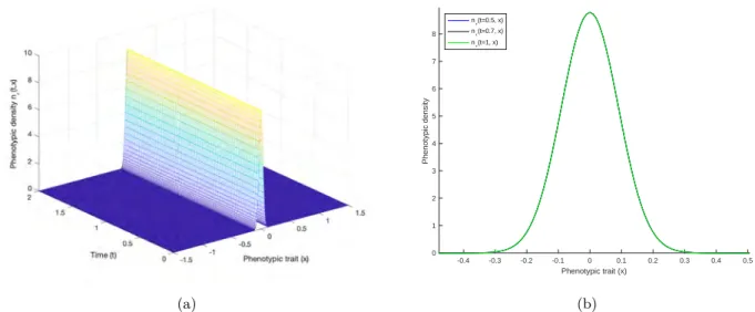 Figure 3.10 – The phenotypic density n ε (t, x) of the population: (a) as a function of time and trait over two