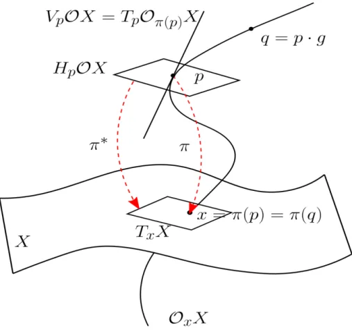 Figure 5.1: The projection, vertical and horizontal spaces on a manifold.