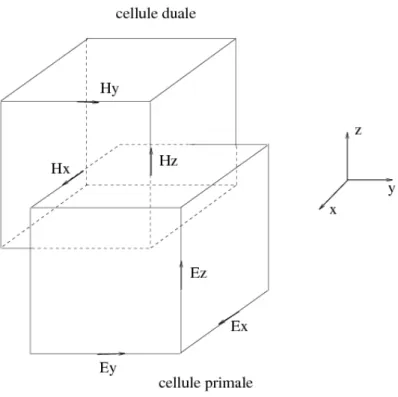 figure 1.5: Position des inconnues en considérant un maillage primal et dual.