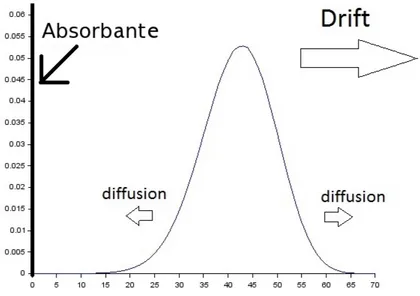 Figure 1.4: Evolution de la distribution de la richesse d’un coopérant typique