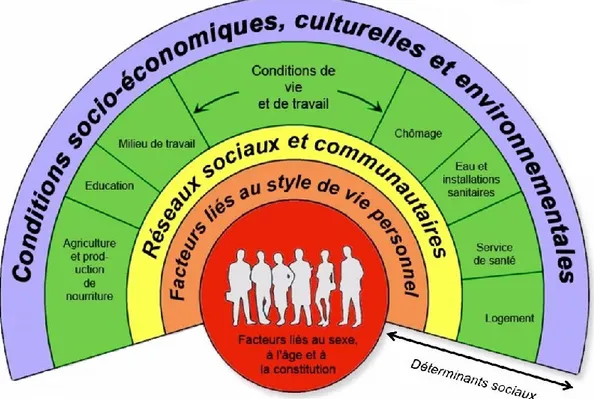 Figure n°2 : Les catégories englobantes des déterminants de la santé (adaptée de : Dahlgren et  Whitehead 1991) 