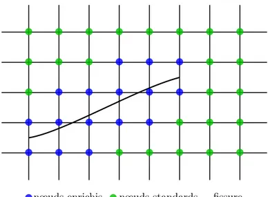 Figure 2.6 – Illustration de l’enrichissement autour d’une fissure - Les nœuds enrichis s’ajoutent aux nœuds standards