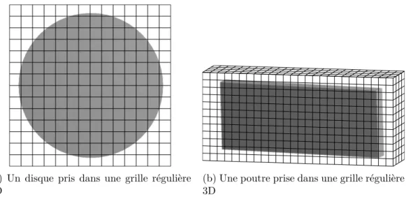 Figure 3.1 – Exemple de modèles définis sur une grille régulière