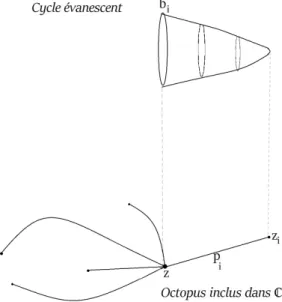 Figure 4.1 – Schéma de l’octopus et d’un cycle évanescent