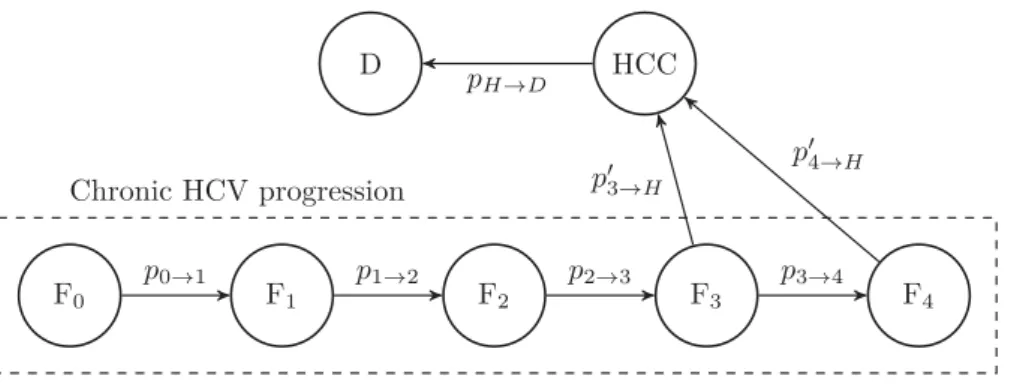 Figure 3.4: Simpliﬁed Markov model of the natural history of HCV.